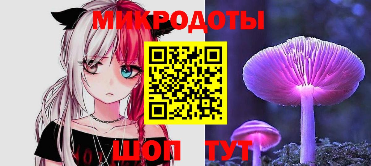 купить  цена  Галлюциногенные грибы Psilocybe  Вход с VPN  Элиста 