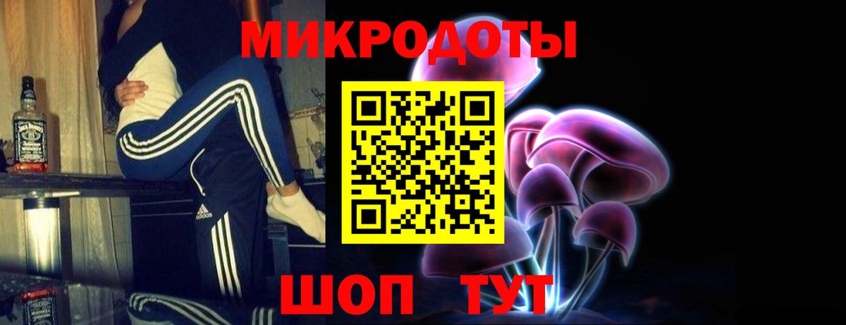 Псилоцибиновые грибы Cubensis Элиста